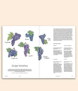 issue 29 wine magazine b content