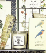Bougie parfumée Delhi par Astier de Villatte