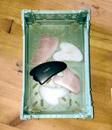 Caisses Pliables Almond Green par Aykasa