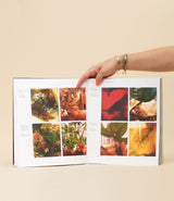 Septime, La Cave, Clamato, D'une île