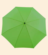 parapluie green grass original duckhead toile