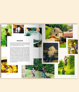 magazine Bobine Périphérie 196 pages