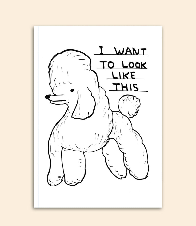 carnet david shrigley