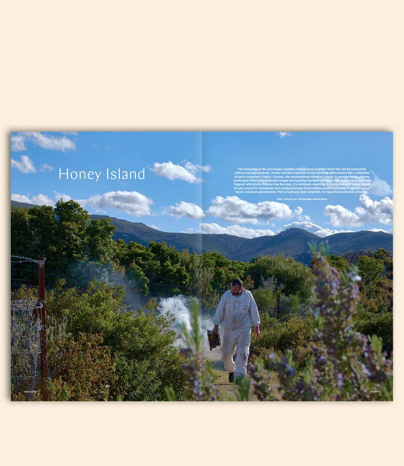 Magazine F numéro 8 honey