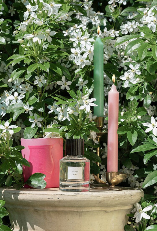 nouveauté trudon été