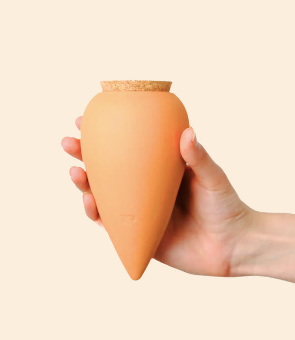 Olla en argile terracotta pour arrosage naturel des plantes Pépin