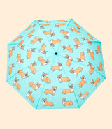 umbrella corgi mint original duckhead