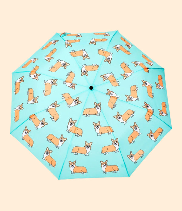 parapluie corgi mint original duckhead