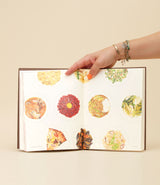 Palate Palette: Tasty illustrations from around the world